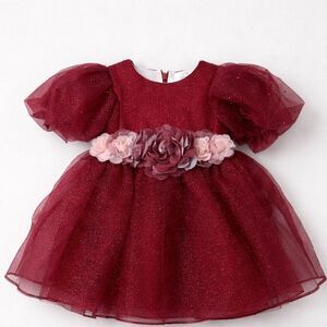 Pink Girls Couture Burgundy Glitter floral embellished Holiday Party Dress NWT 3